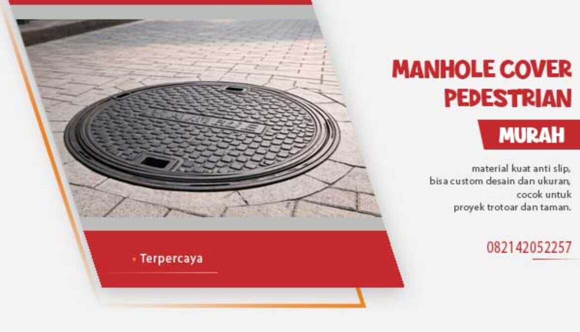 Manhole Cover Pedestrian