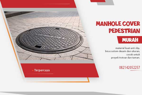 Manhole Cover Pedestrian