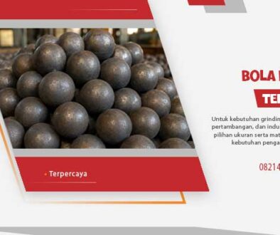 Bola Baja